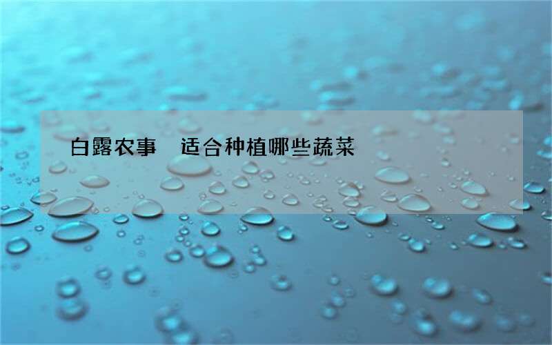 白露农事 适合种植哪些蔬菜